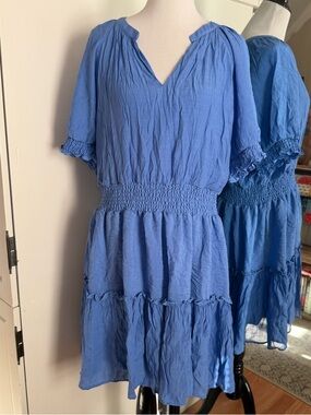 Zoey & Leelo 2X Blue Dress